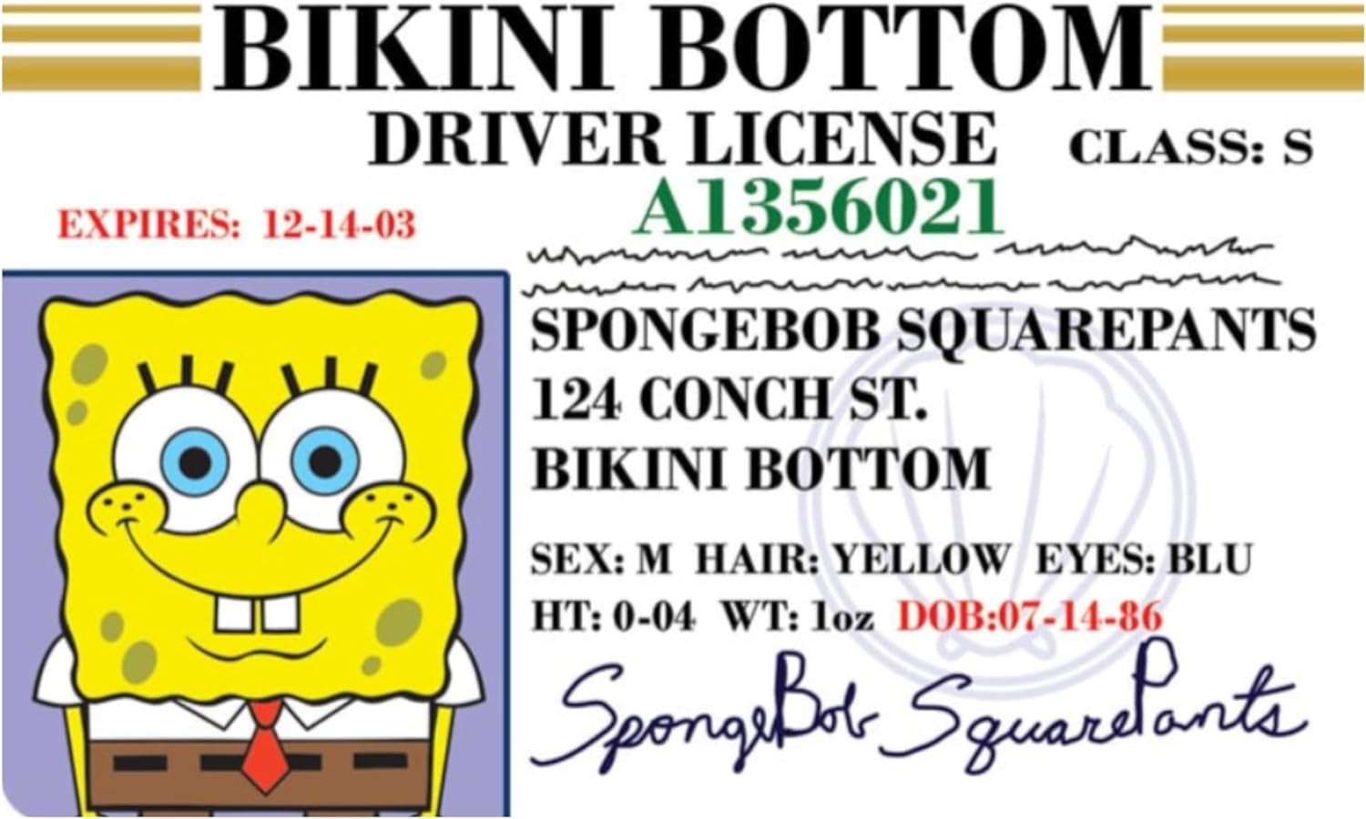 SpongeBob Fake ID